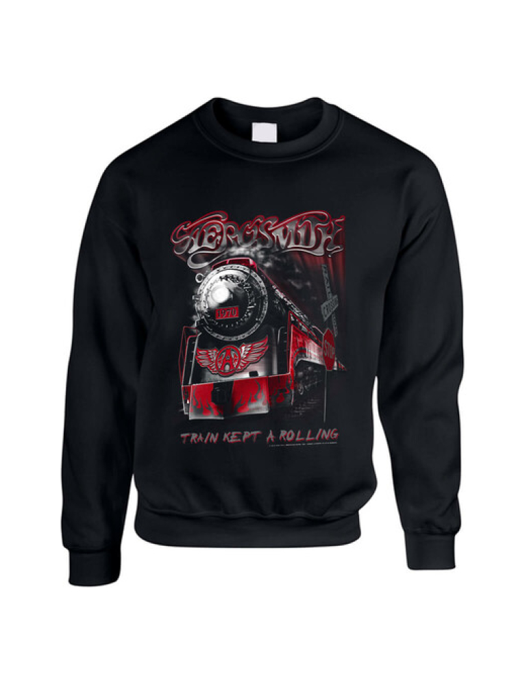 Aerosmith - Train kept a going college