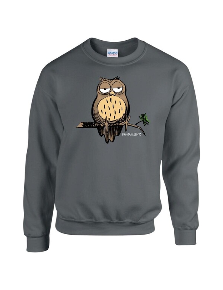 Kamala Luonto Pöllö college