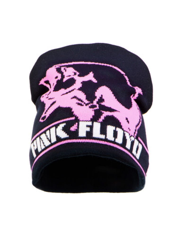 PINK FLOYD - In the Flesh Pink Floyd Pipo