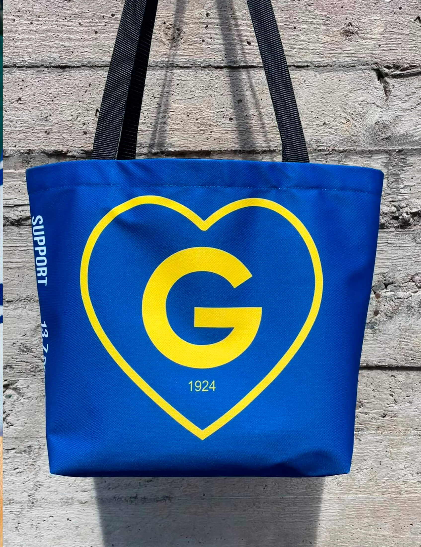 Support IF Gnistan, Kassi