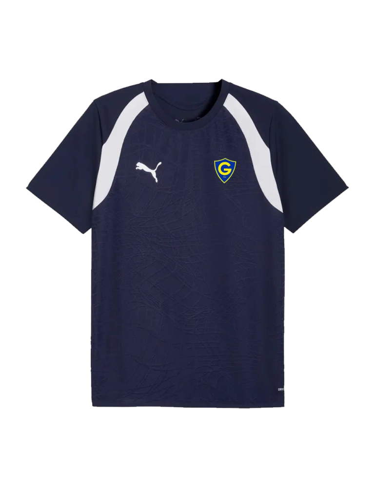 IF Gnistan, Puma treenipaita