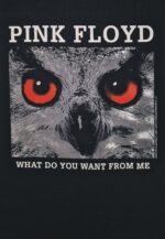 Pink Floyd - What do you want from me T-Paita