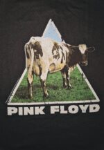 Pink Floyd - Atom Heart Hoodie Huppari