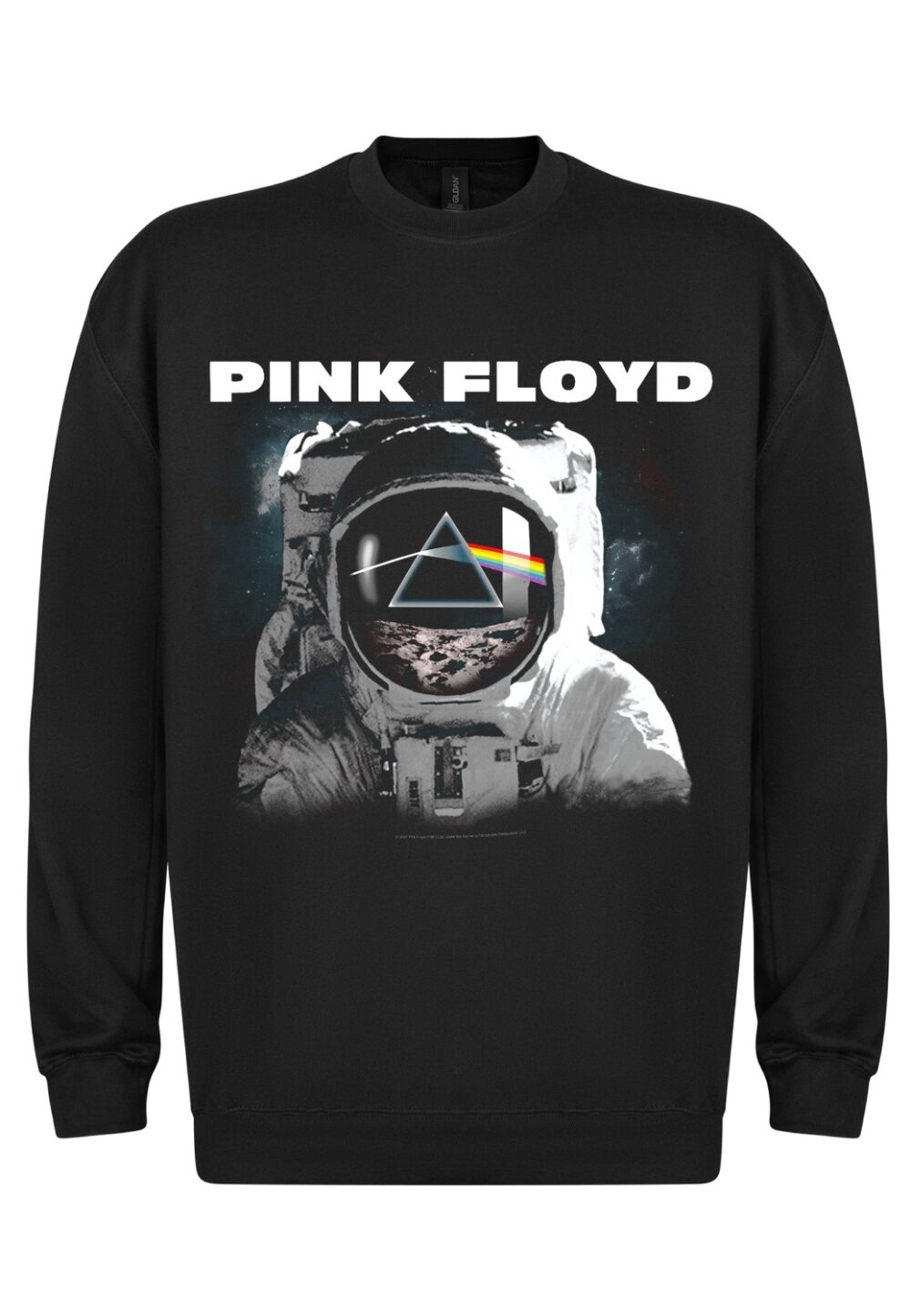 Pink Floyd Pink Floyd The Dark Side of the Moon Astronaut college