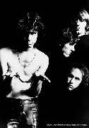 Doors – Band B/W