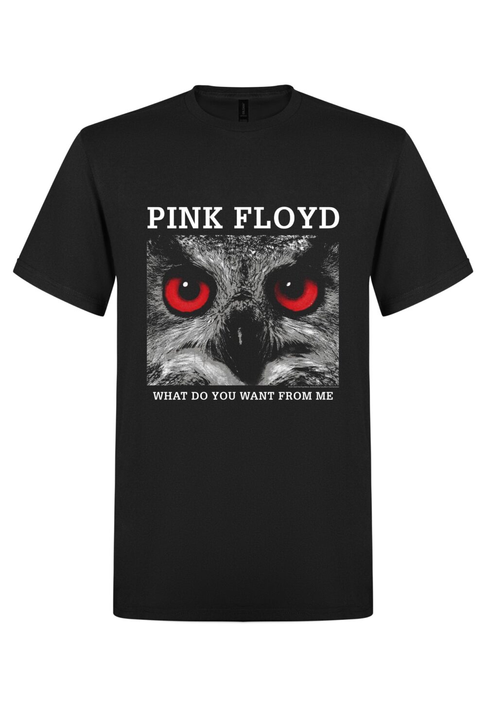 Pink Floyd - What do you want from me T-Paita